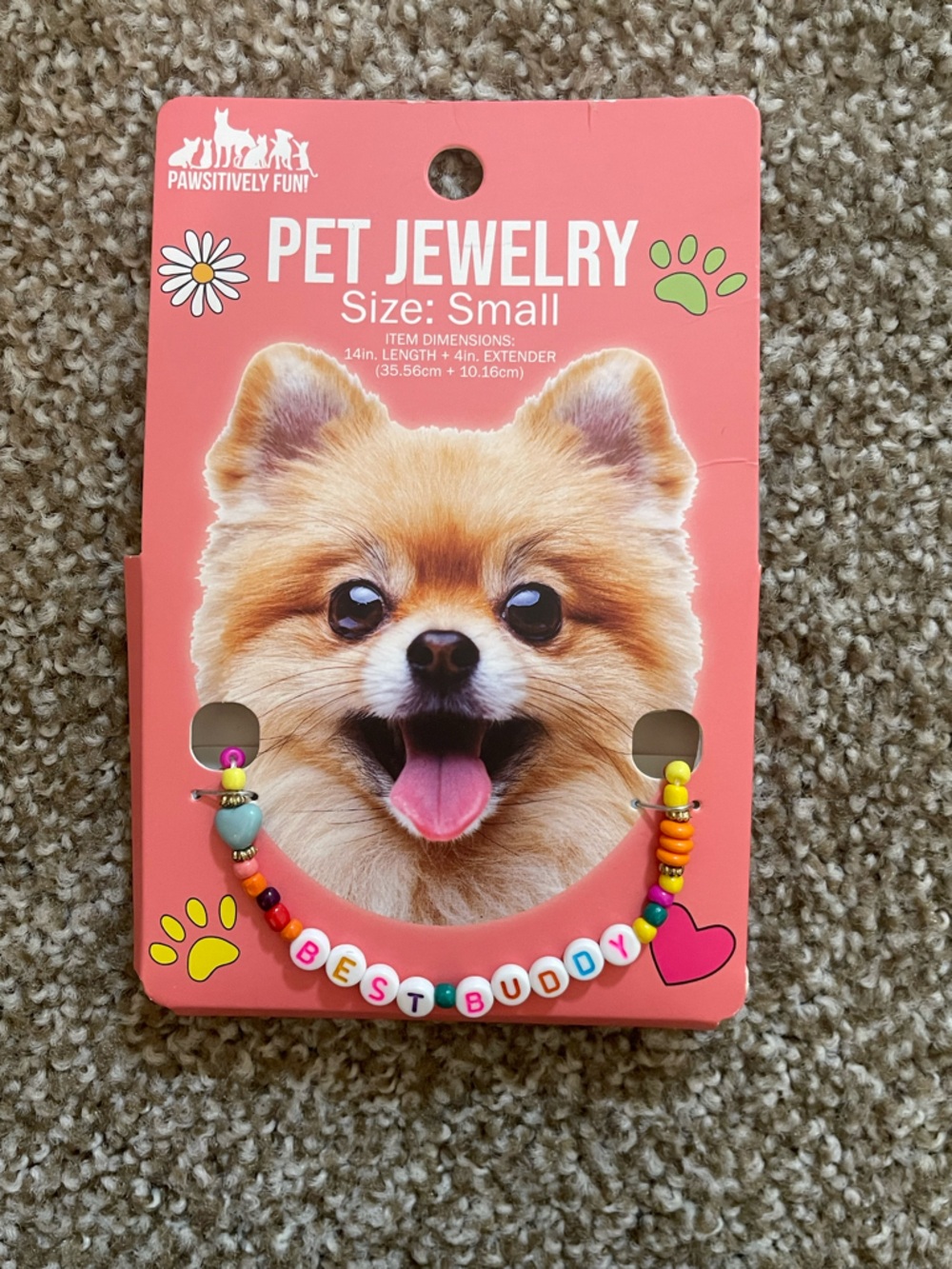"Best Buddy" Pet Necklace — Small, Multicolor